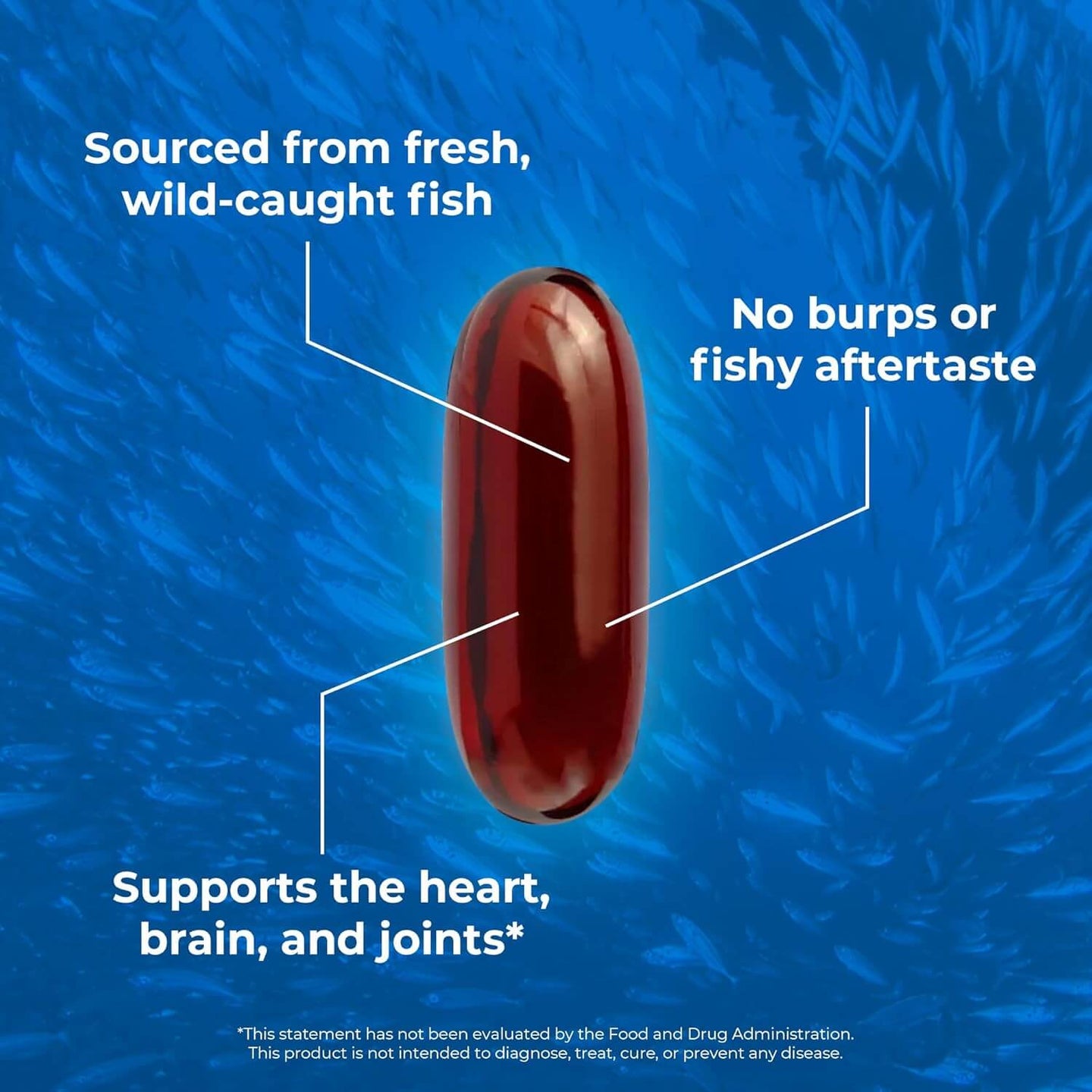 OMAPURE Omega-3 Fish Oil